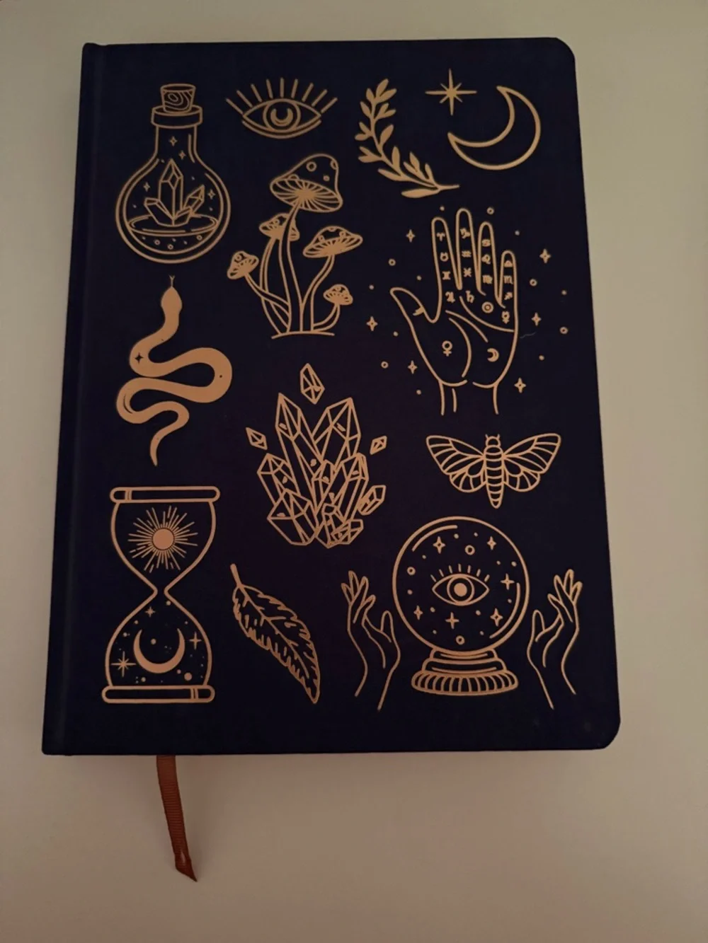 Book Bundle: Moonlight Gratitude by Emily Silva & Blank Journal - 2 Item Lot